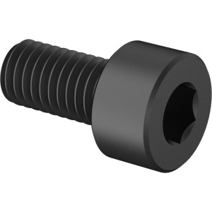 Titanium Socket Head Screw M5 x 0.80 mm Thread Size, 10mm Long图4